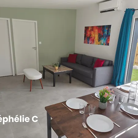Les Nephelie Votre Cocon Confort Aux Portes Du Puy Dufou - Climatise, Terrasse, Parking *