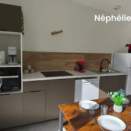 Les Nephelie Votre Cocon Confort Aux Portes Du Puy Dufou - Climatise, Terrasse, Parking * Les Épesses
