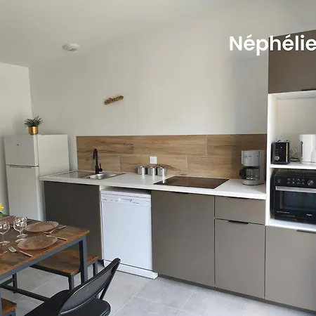 Feriehus Les Nephelie Votre Cocon Confort Aux Portes Du Puy Dufou - Climatise, Terrasse, Parking *