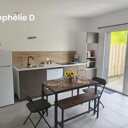 Les Nephelie Votre Cocon Confort Aux Portes Du Puy Dufou - Climatise, Terrasse, Parking Feriehus *