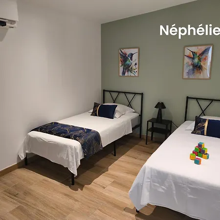 Les Nephelie Votre Cocon Confort Aux Portes Du Puy Dufou - Climatise, Terrasse, Parking *