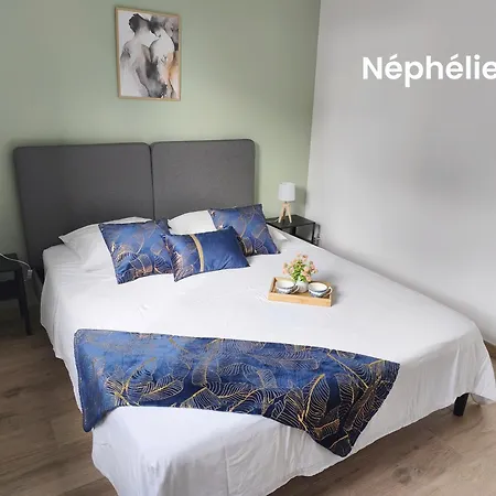 Les Nephelie Votre Cocon Confort Aux Portes Du Puy Dufou - Climatise, Terrasse, Parking Feriehus *
