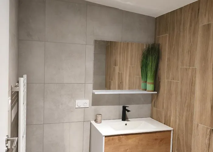 Néphélie Votre Cocon Confort Aux Portes Du Puy Dufou - Climatisé, Terrasse, Parking Hébergement de vacances *