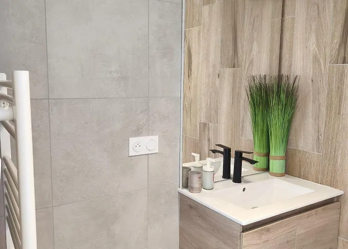 Néphélie Votre Cocon Confort Aux Portes Du Puy Dufou - Climatisé, Terrasse, Parking Hébergement de vacances *