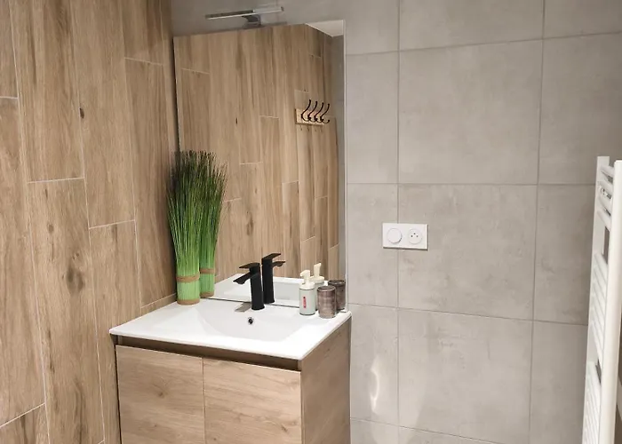 Hébergement de vacances Néphélie Votre Cocon Confort Aux Portes Du Puy Dufou - Climatisé, Terrasse, Parking *