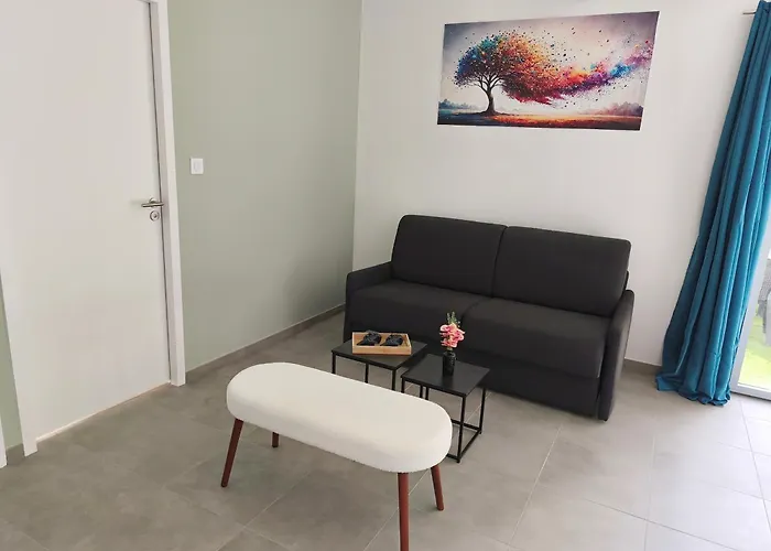 Néphélie Votre Cocon Confort Aux Portes Du Puy Dufou - Climatisé, Terrasse, Parking Hébergement de vacances *